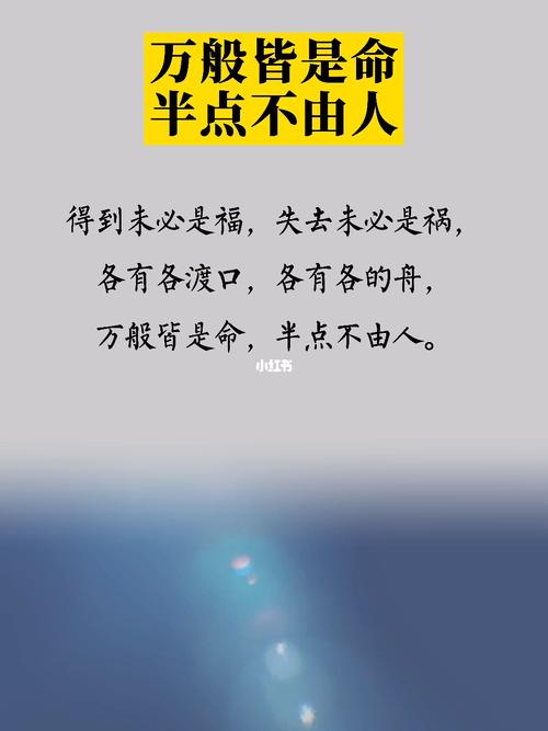 半条命的意思是什么、半条命的意思是什么解释