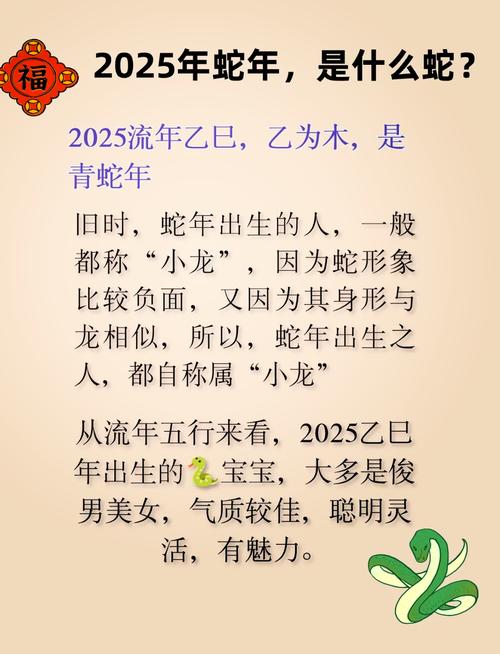 2025年是什么生肖、2025年是什么生肖年五行属什么
