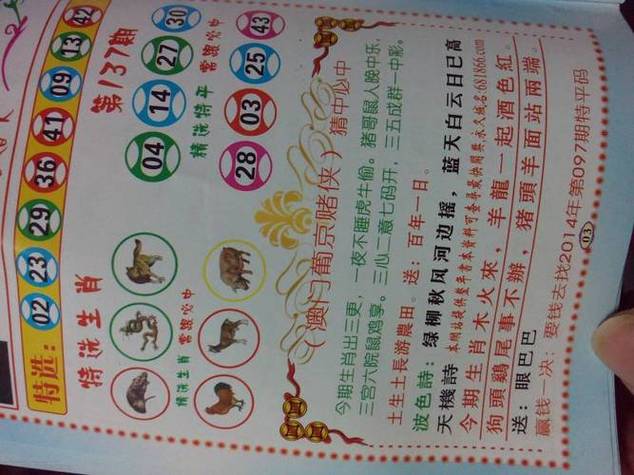 今期最好买打一生肖、今期生肖最好查什么意思
