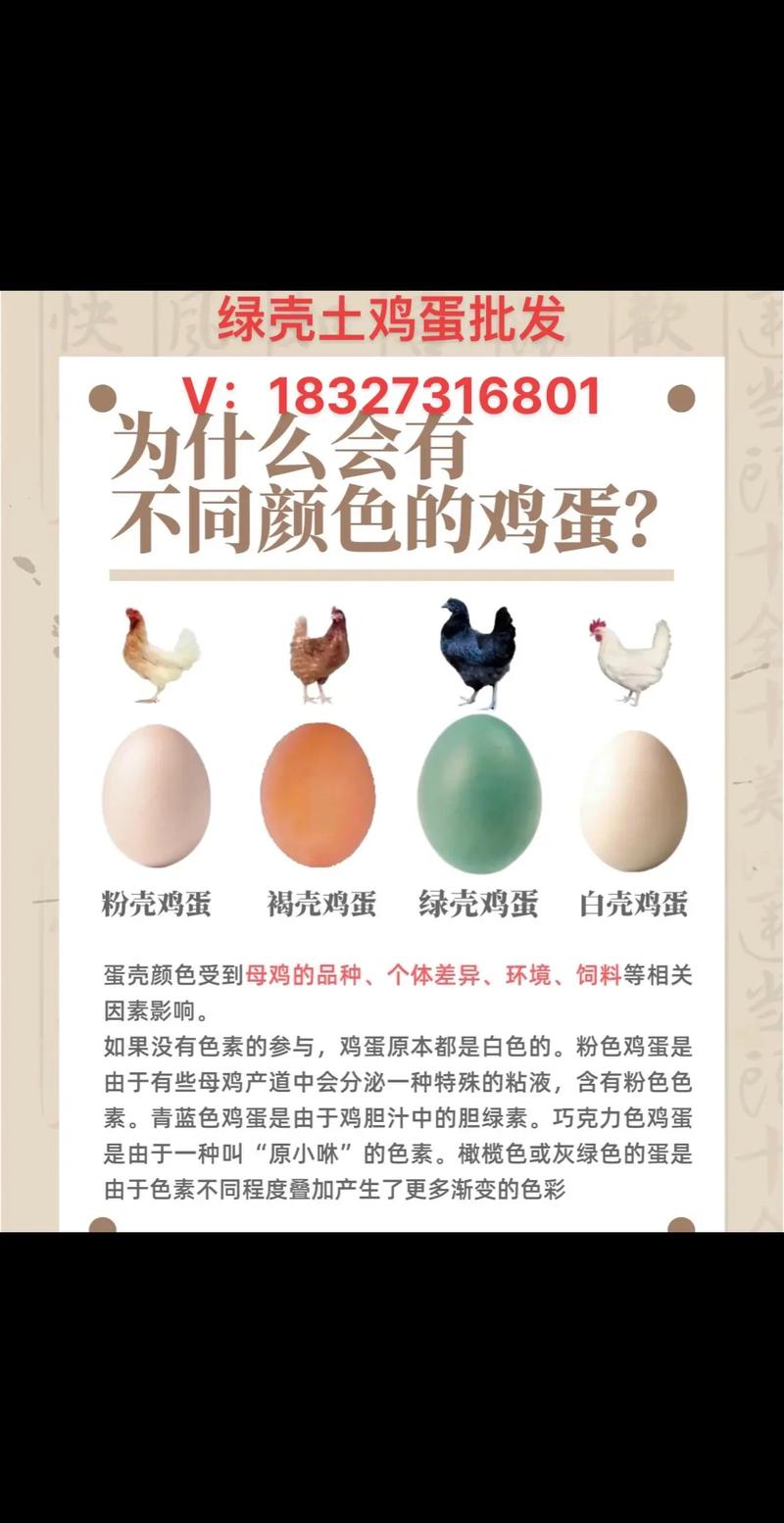“引发热议的预制蛋””打一生肖是什么的简单介绍