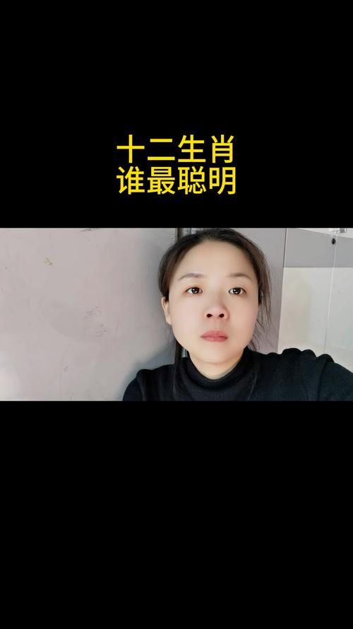 什么生肖最聪明最精明的人、十二生肖什么最聪明,是什么生肖?