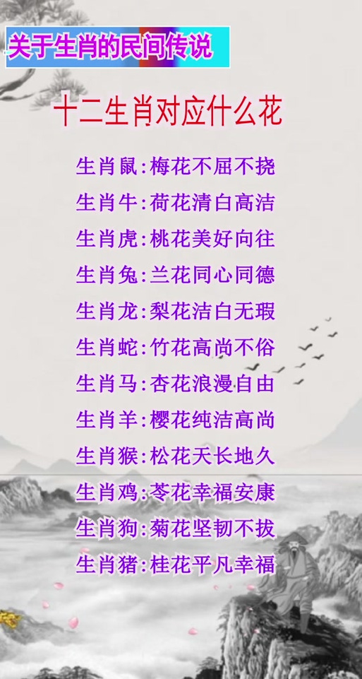 今期又见特是什么意思、今期又遇家乡人是什么生肖