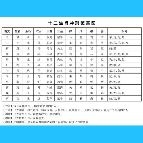 包含一九相合在今期最正确生肖的词条