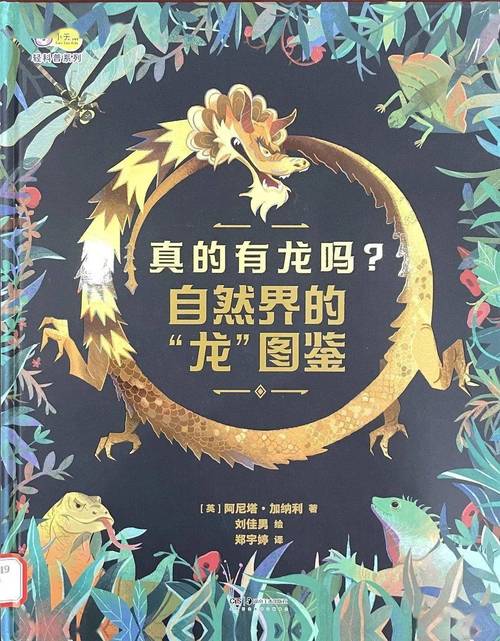 “旷野苍茫，孤影独行。五花八门必多得”打一生肖是什么的简单介绍