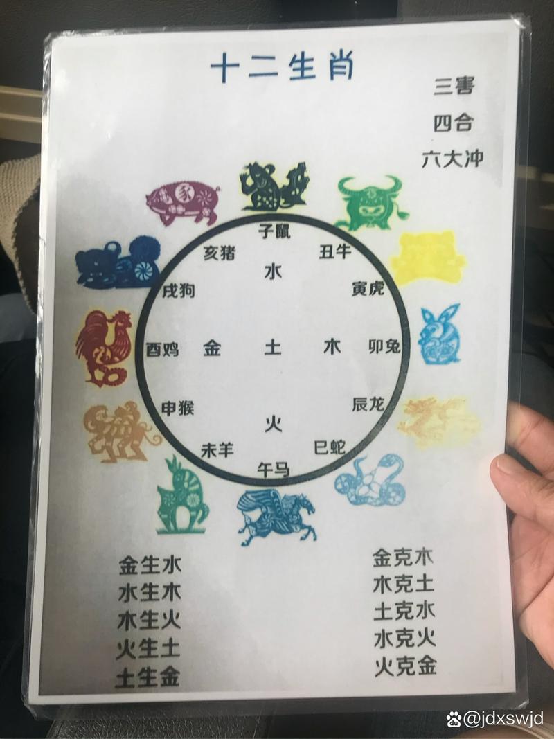 今期生肖旺水火打一动物、今期生肖旺水火,福星高照猪八戒