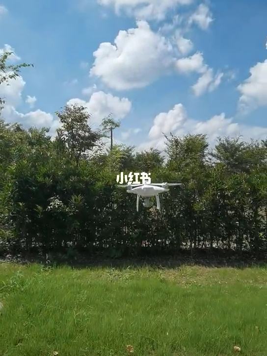 [小飞机是什么意思]ins小飞机是什么意思