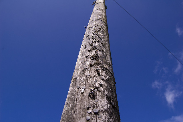 [telegraphpole]telegraphpole中文