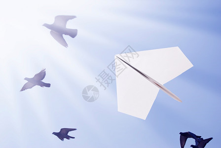 [纸飞机群汇总]纸飞机群是什么意思