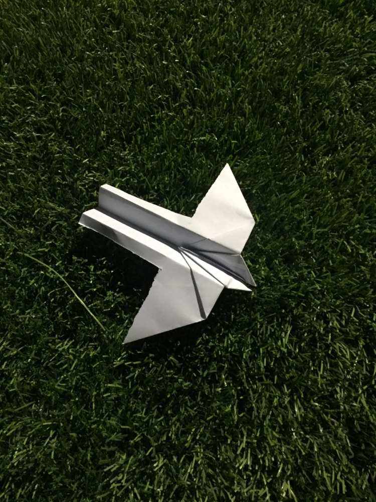[纸飞机在国内手机上不能用吗]纸飞机在国内手机上不能用吗为什么