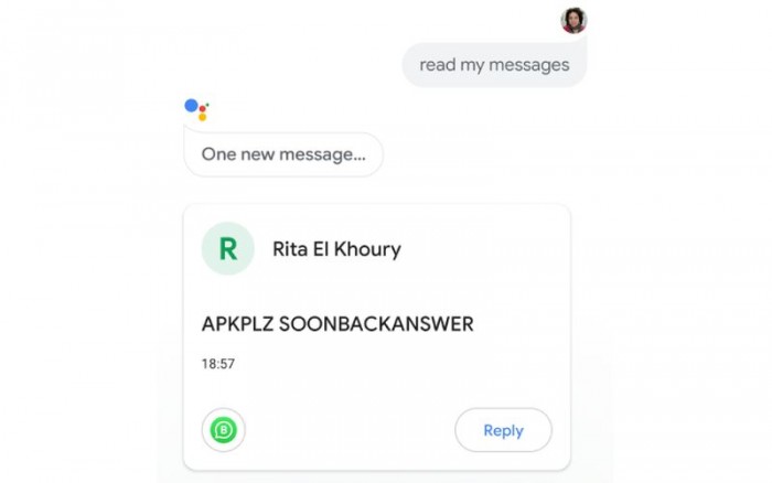whatsapp有翻译功能吗-whatsapp有自带翻译功能吗