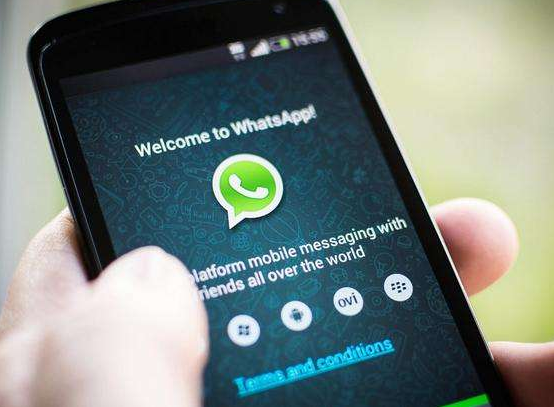 whatsapp最新版官方网下载2023-whatsapp最新版官方网下载whatsapp