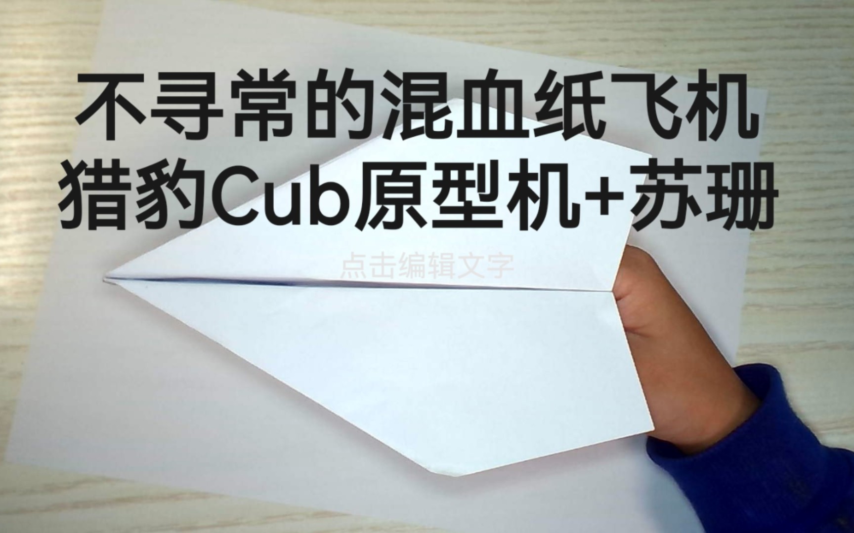 纸飞机登录不了-纸飞机登录收不到验证码怎么登录