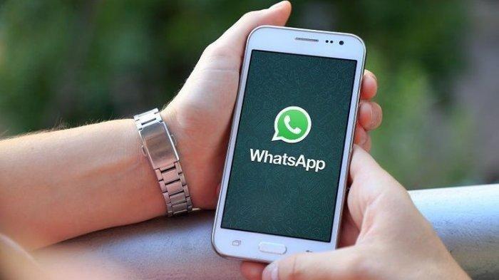 whatsapp支持安卓吗-whatsapp安卓手机可以下载吗