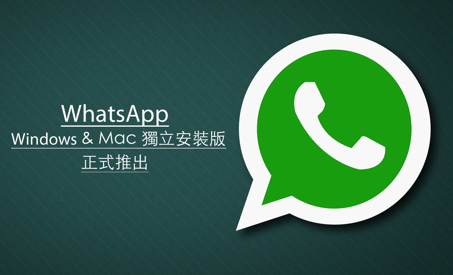 WhatsApp安卓下载-whatsapp安卓下载安装2023最新版本