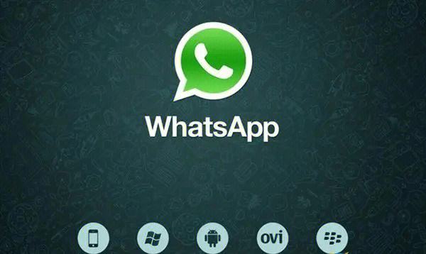 在中国whatsapp怎么用?-whatsapp在中国怎么才能用