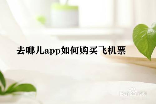 详细阅读:飞机app是干嘛用的-飞机app软件官方下载 飞机app是干嘛用的-飞机app软件官方下载