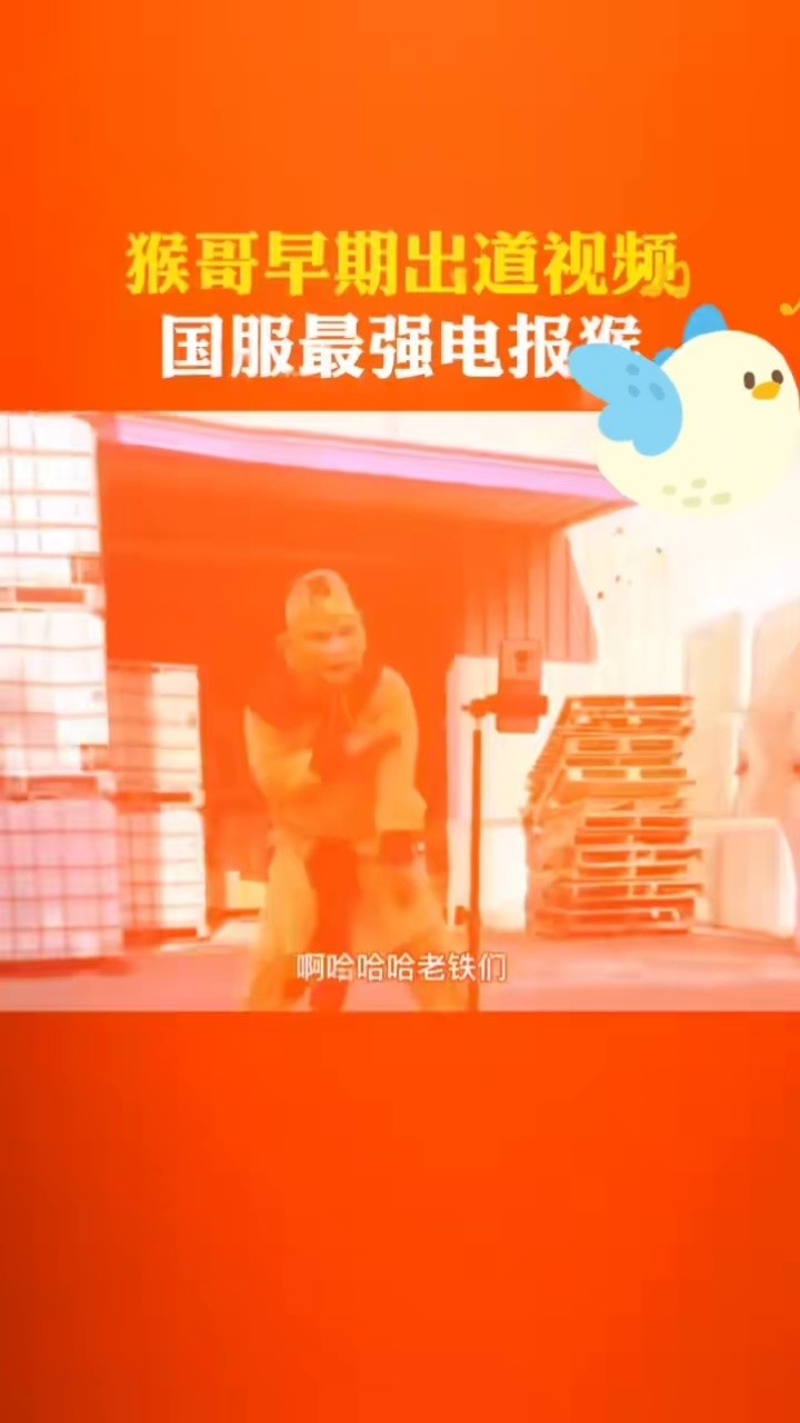 电报的视频在哪里-电报的视频在哪里看