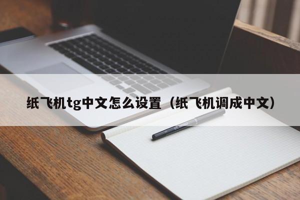 飞机中文版怎么设置-飞机中文版怎么设置安卓