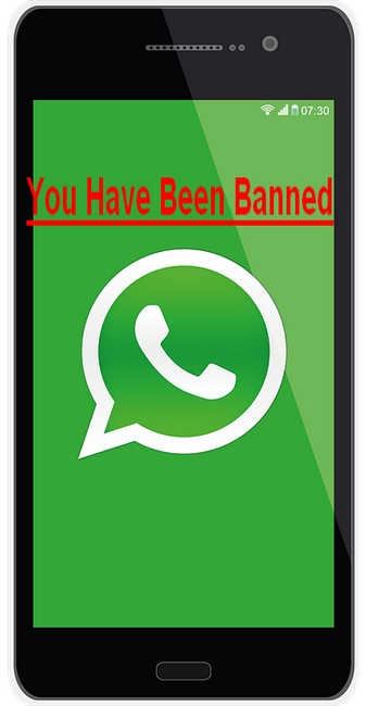 whatsapp安卓版下载2023-whatsapp安卓版下载最新版本下载