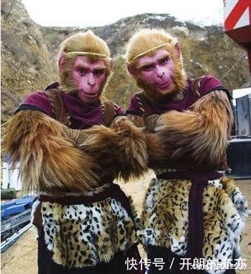 西游记电报猴是哪一集-西游记电报猴是哪一集几分