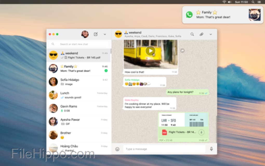 whatsapp连接不上手机号-whatsapp手机号码验证怎么连不上