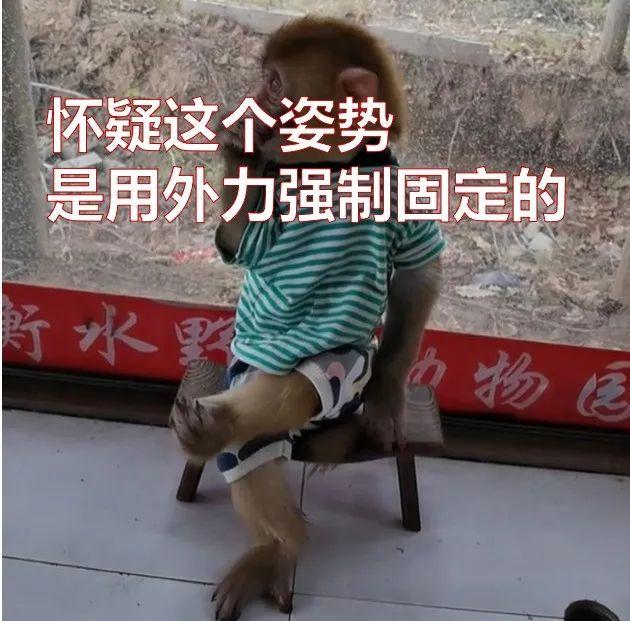 详细阅读:包含电报猴的完整录音知乎的词条 包含电报猴的完整录音知乎的词条