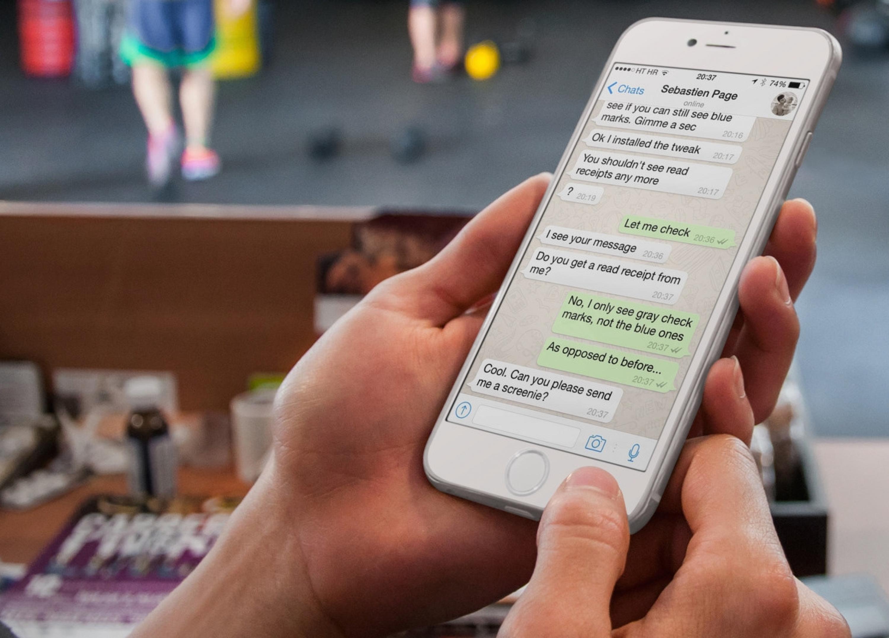 whatsapp客服联系电话多少-whatsapp contacts