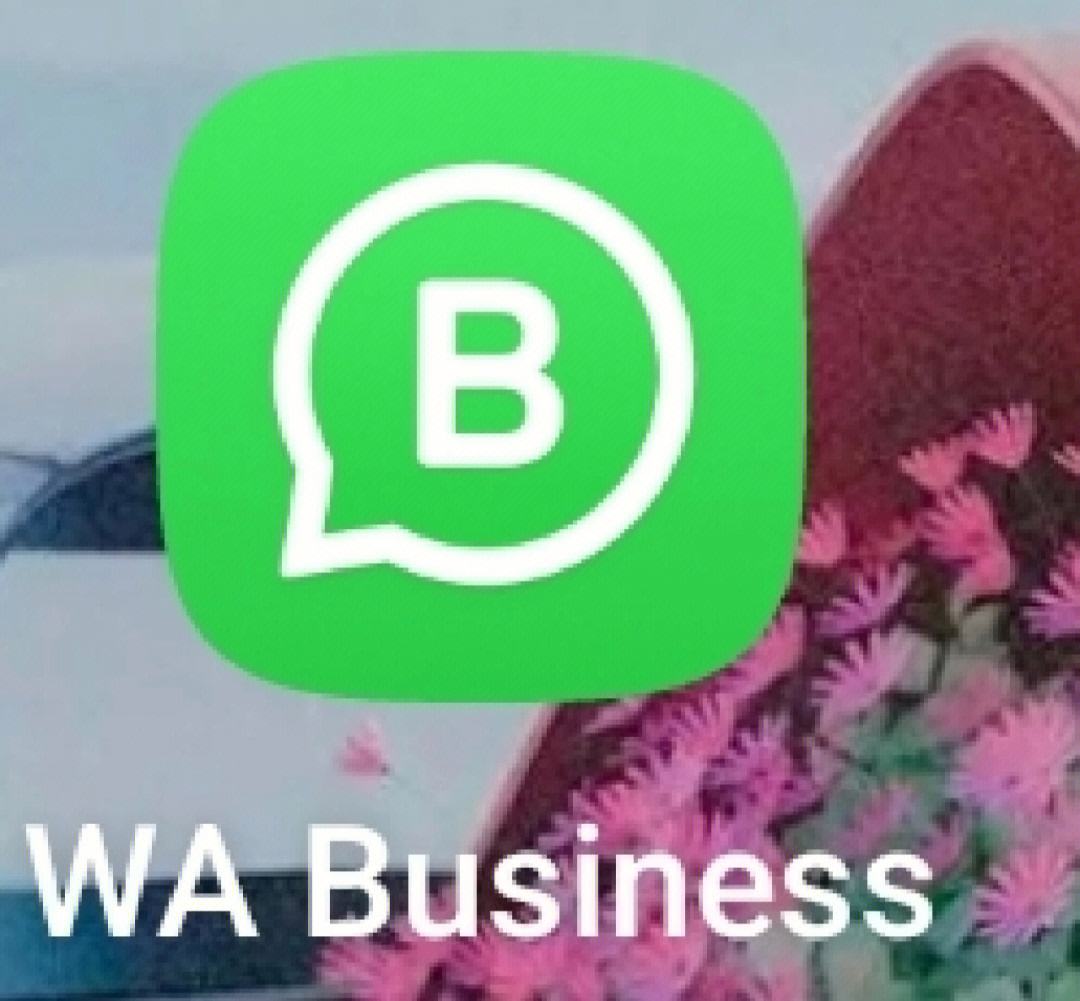 whatsapp下载苹果手机版下载-whatsapp apk iphone