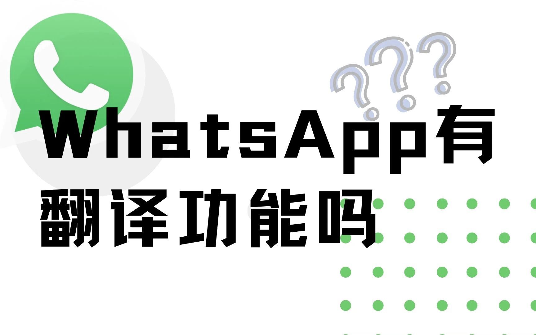 whatsapp英文怎么翻译成中文-whatsapp怎么直接在软件中译英