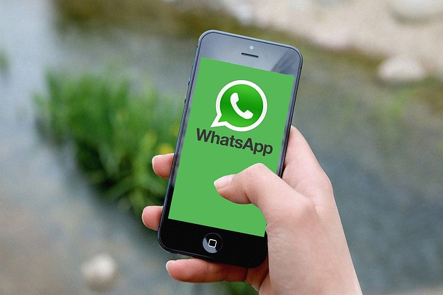 whatsapp登录一直显示连接中-为什么whatsapp一直在连接中登陆不进去?