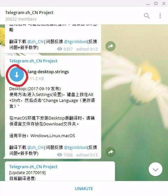 详细阅读:telegram怎么订阅付费-telegram为什么会被封禁 telegram怎么订阅付费-telegram为什么会被封禁