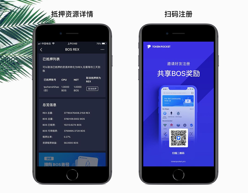 tp钱包谁开发的-tp钱包是哪个交易所的