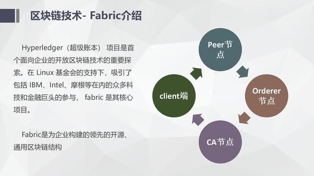包含公链的标准是什么的词条
