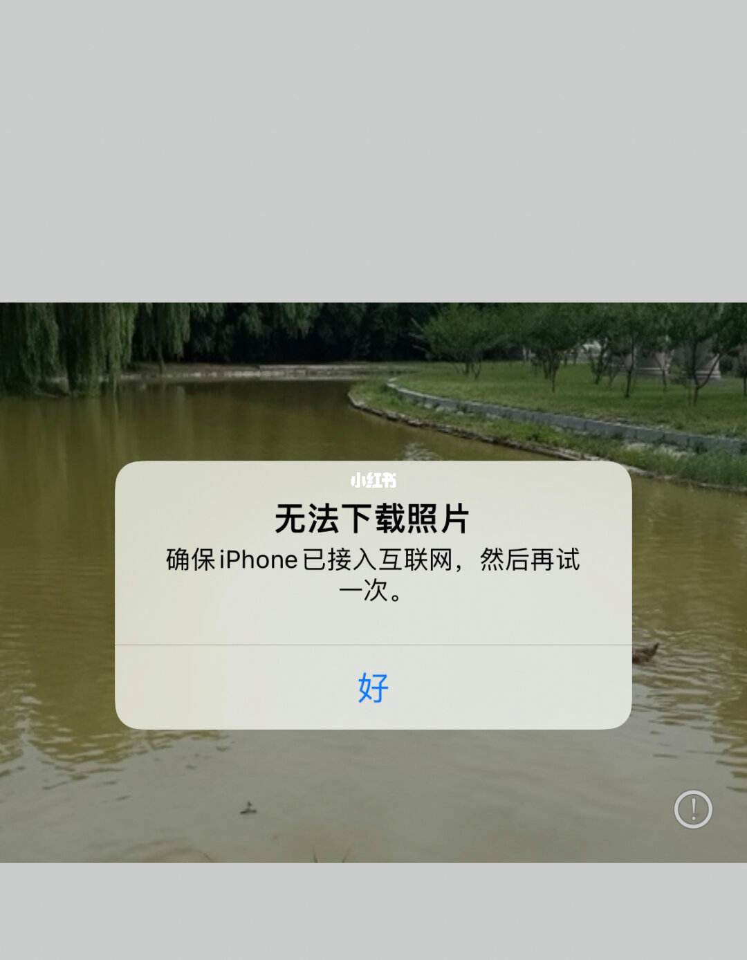 苹果手机无法下载网页上的应用,苹果手机下载不了网页app怎么回事