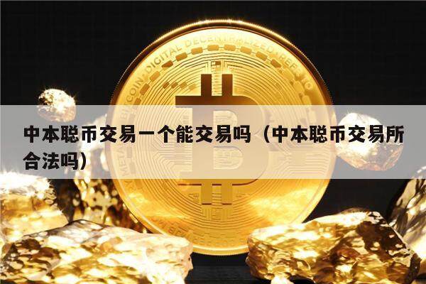 中本聪币官网下载,中本聪币官方app下载