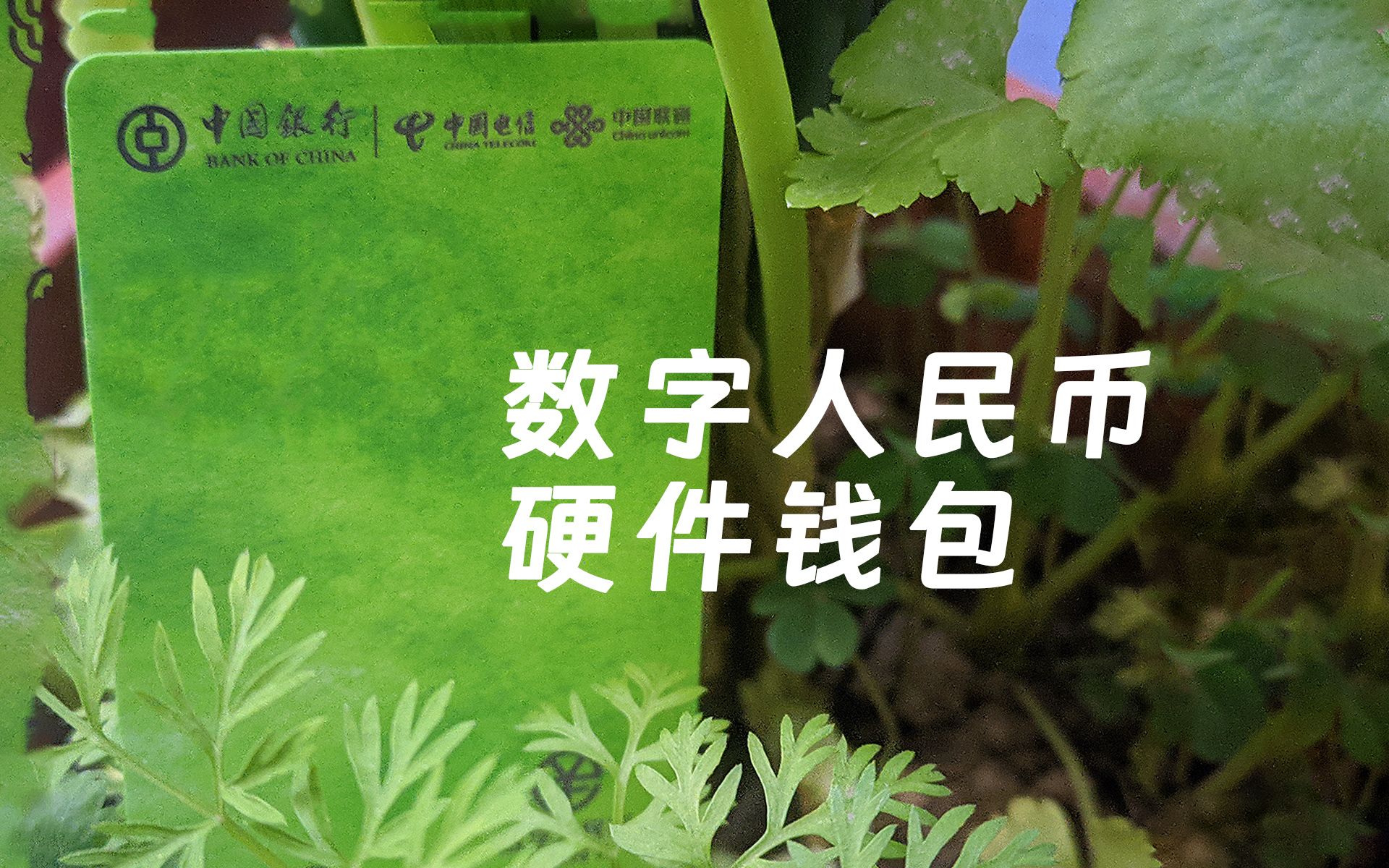 钱包闪兑,钱包闪兑失败为什么没有退币