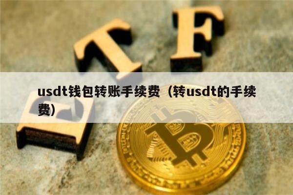小狐狸钱包usdt、小狐狸钱包USDT被别人转走了