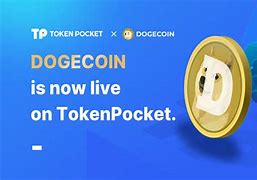tokenpocket安卓、pocket绘画软件下载安卓