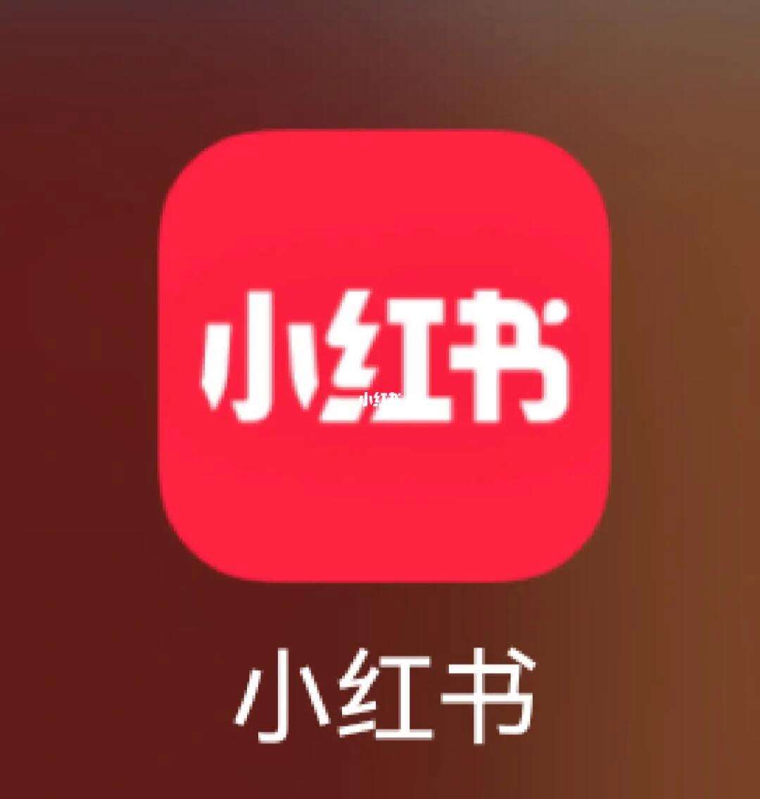 关于中付钱包plusAPP的推荐码的信息