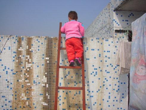 上房顶的梯子图片、上房顶的梯子图片真实