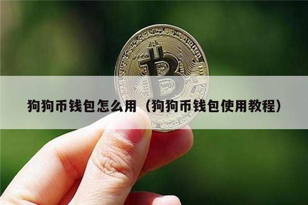 狗狗币钱包在哪、狗狗币官方钱包教程