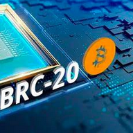 tp钱包brc20、Tp钱包一键创100个钱包