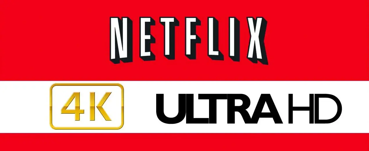 netfile官网、netfile官网下载