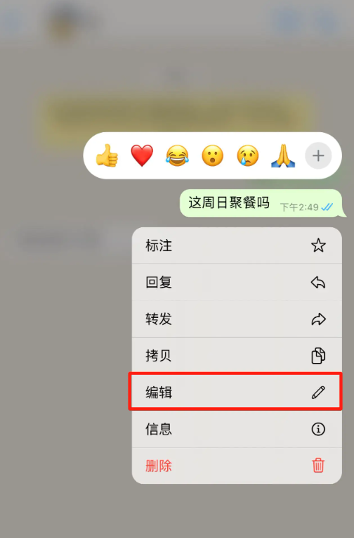 可以和外国人视频聊天的软件苹果手机、可以和外国人视频聊天的软件苹果手机下载