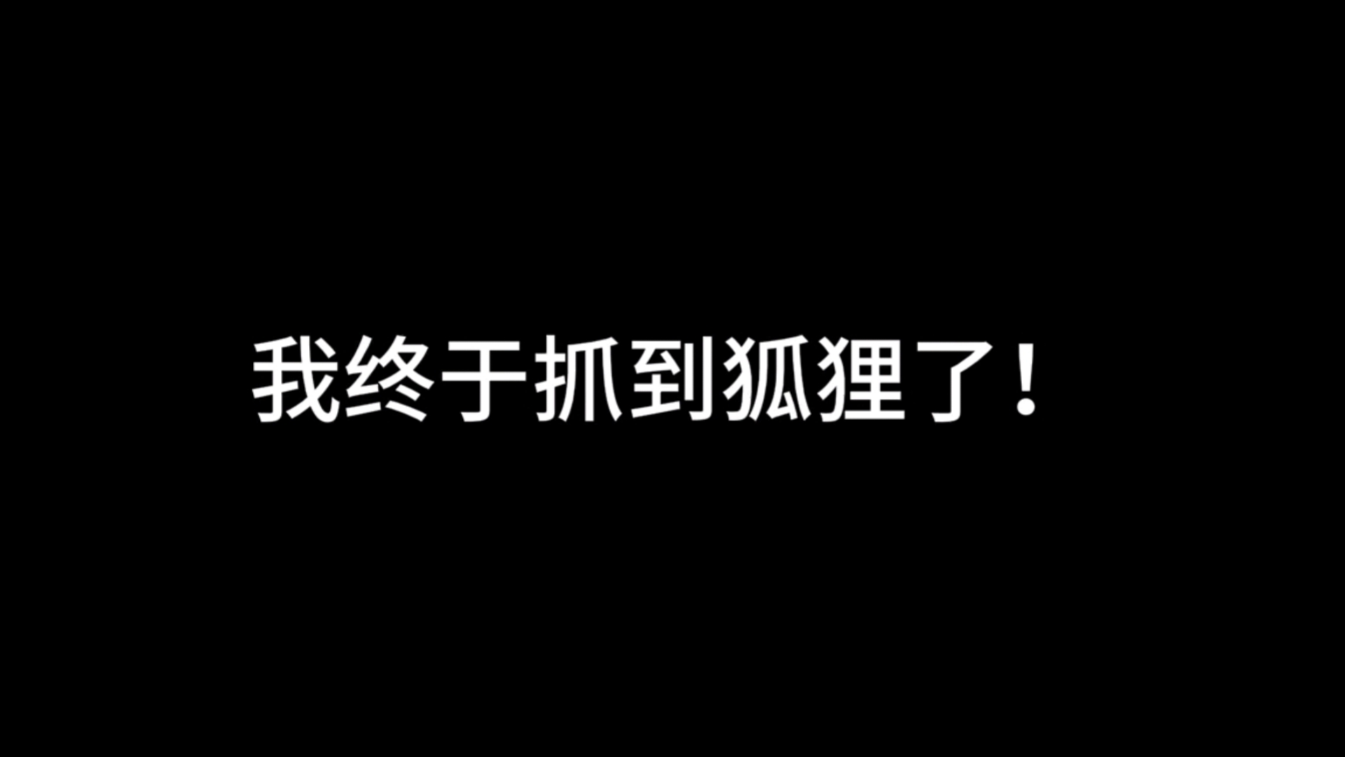 能到狐狸什么意思、做梦能到狐狸是什么意思