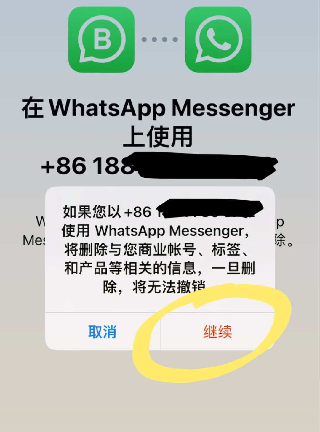 whatsapp下载安装、whatsapp下载安装官方最新版2024