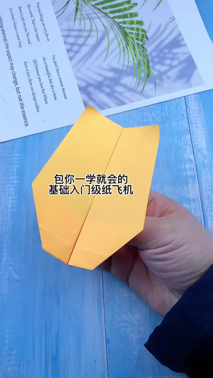 纸飞机汉语包、纸飞机汉化包是什么