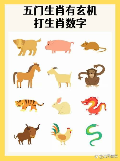 六部玄机码中码是什么生肖数字、六部玄机码中码,天下兄弟归一物