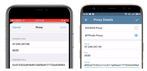 telegram网页登录入口、wwwtelegramcnorg