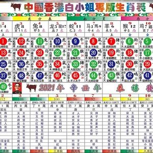 六字出玄机指什么生肖、六字出玄机指什么生肖动物